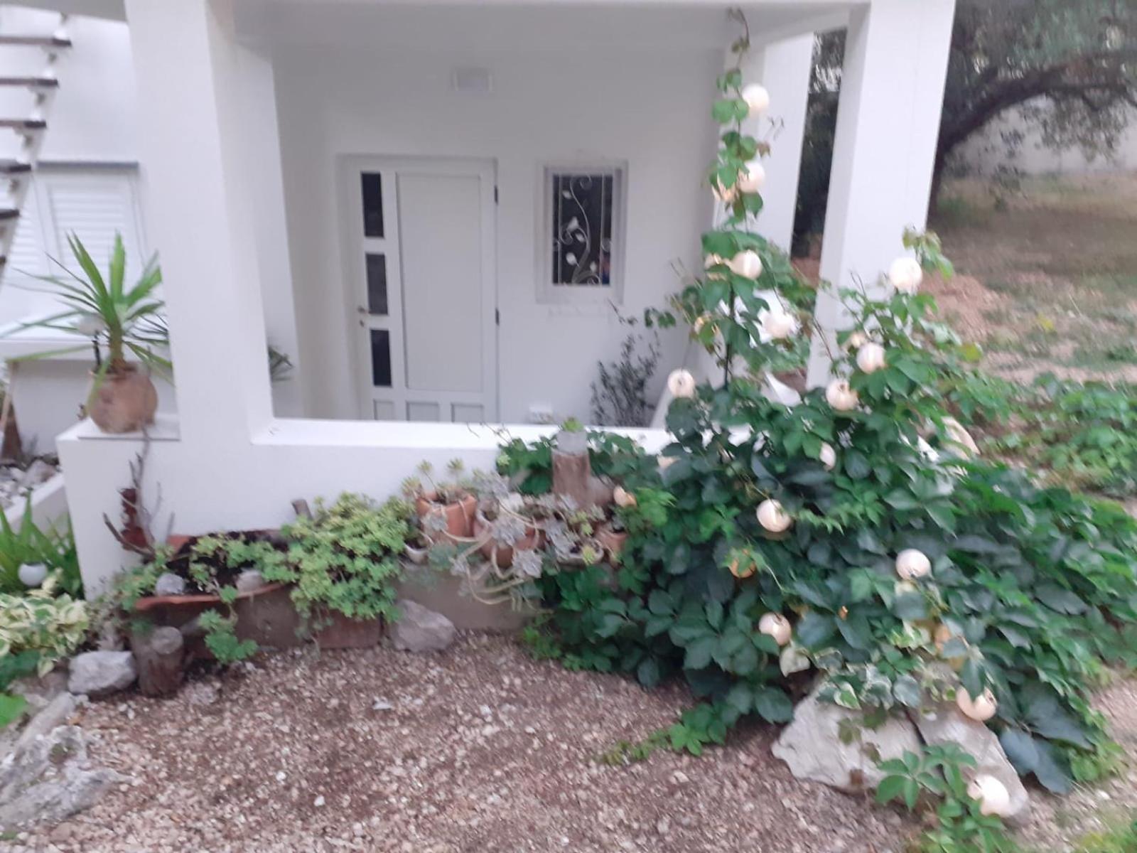 Villa Ana ماكارسكا الغرفة الصورة
